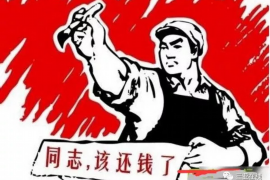 巍山为什么选择专业追讨公司来处理您的债务纠纷？
